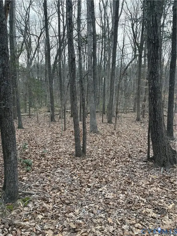 0 Doswell Town Road, Meherrin, VA 23954 - #2