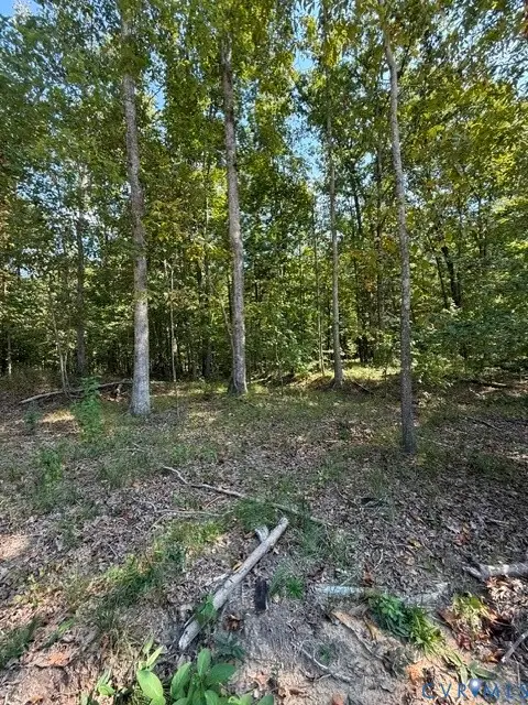 00 Hidden Springs, Powhatan, VA 23113 - #1