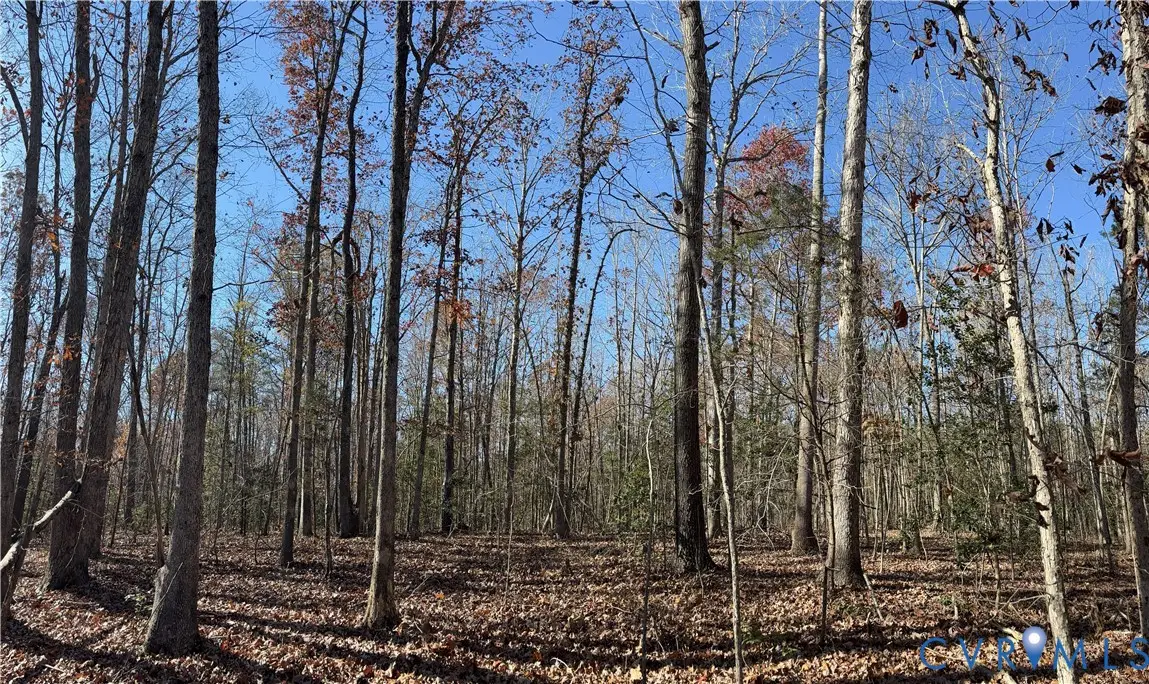 Lot 4 Diggstown Rd, Bumpass, VA 23024 - #1