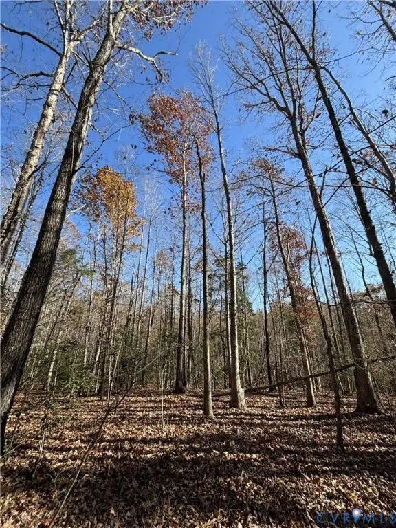 Lot 4 Diggstown Rd, Bumpass, VA 23024 - #3