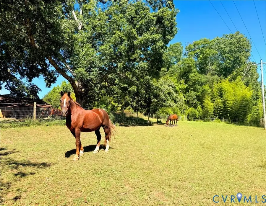 8587 Scuffletown Road, Randolph, VA 23962 - #3