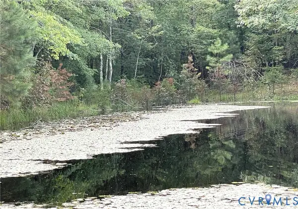10.27 AC College Park Lane, Keysville, VA 23947