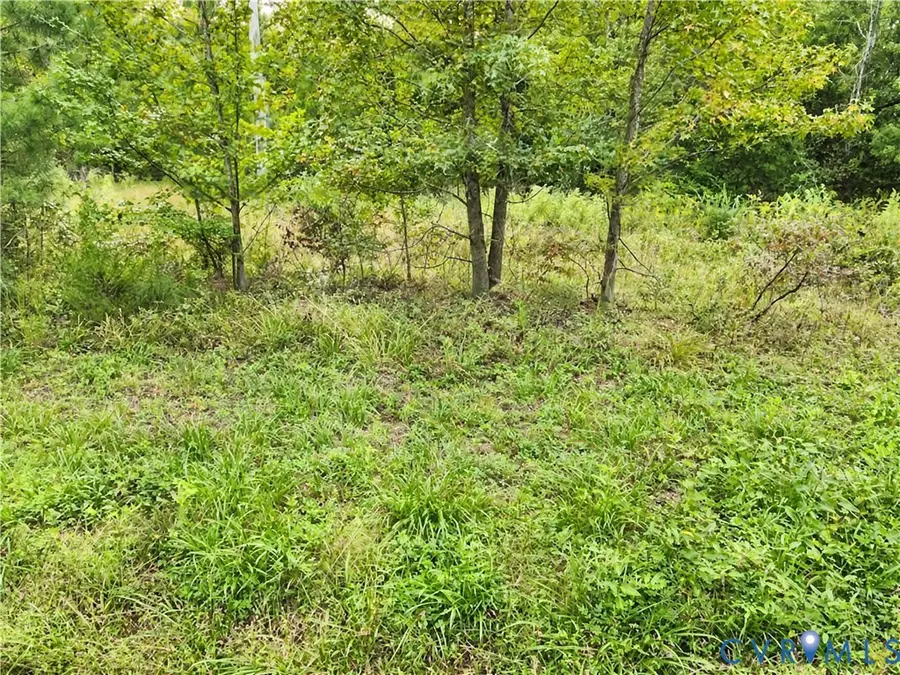 23124 Telegraph Road, Ruther Glen, VA 22546 - #2