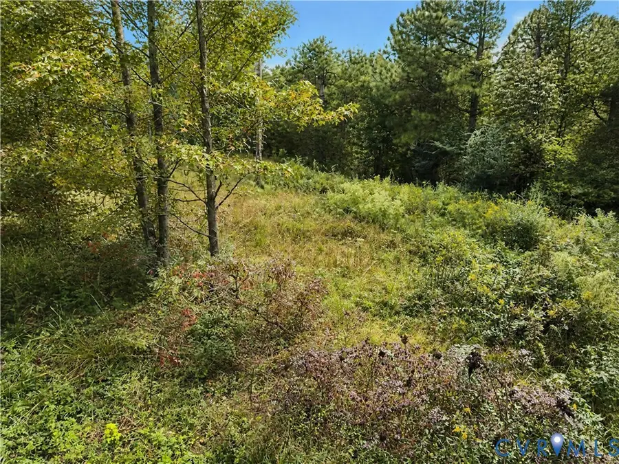 23124 Telegraph Road, Ruther Glen, VA 22546 - #3