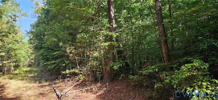 0 Mahixon Road, Manquin, VA 23106 - #2