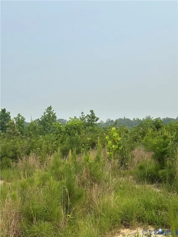 23258(GPS ONLY) King William Road, West Point, VA 23181 - #1