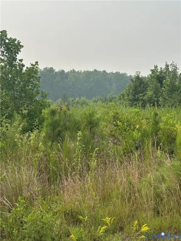 23258(GPS ONLY) King William Road, West Point, VA 23181 - #2