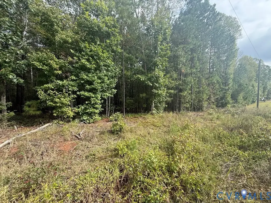 13.52 Westpoint Stevens Road, Drakes Branch, VA 23937 - #3