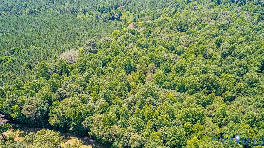 01 Chimney Springs Drive, Goochland, VA 23063 - #2