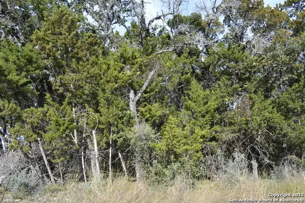 LOT 304 Whartons Dock, Bandera, TX 78003