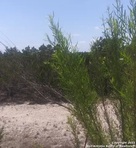 412 Flanders, Fischer, TX 78623 - #2