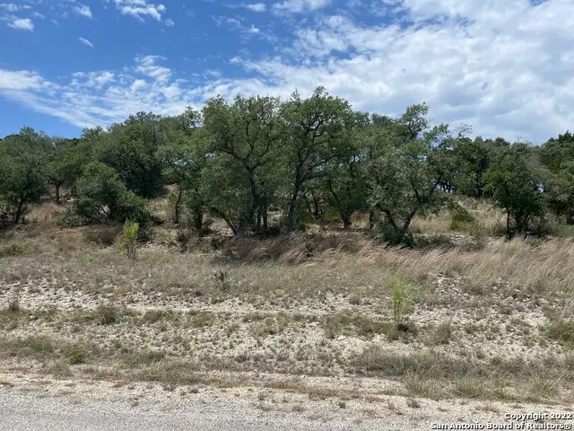 218 Restless Wind, Spring Branch, TX 78070 - #3