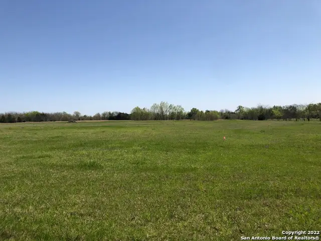 982 Rs County Road 4500, Point, TX 75453 - #3