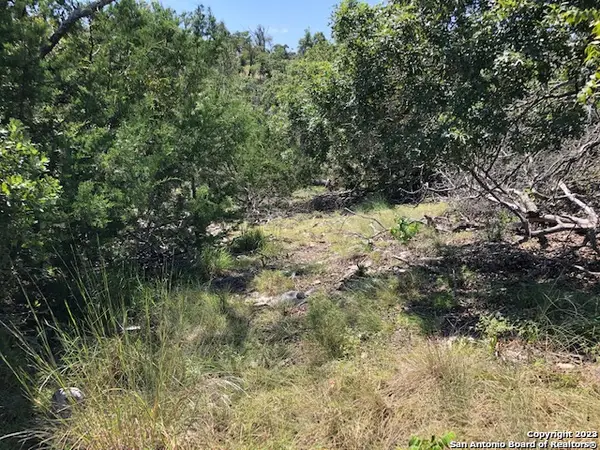 LOT 8 Longview Drive, Fredericksburg, TX 78624
