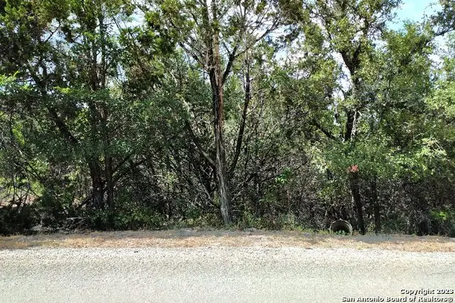 1146 Zane Grey Ln, Spring Branch, TX 78070 - Image #2