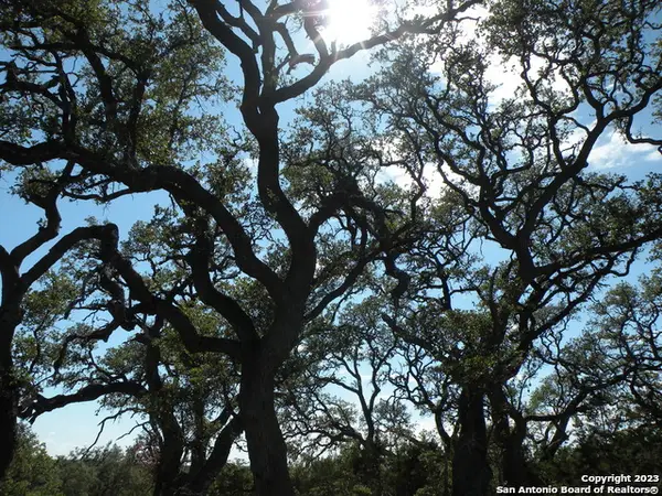 722 Blaze Ridge Blvd, Bulverde, TX 78163