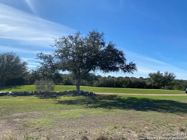 107 N John Bird, Blanco, TX 78606