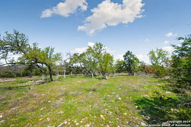 1275 Smoky Loop Rd, New Braunfels, TX 78132 - #1