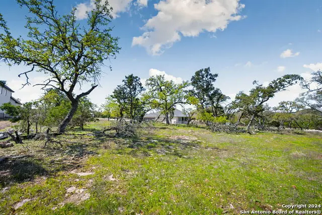 1275 Smoky Loop Rd, New Braunfels, TX 78132 - #2