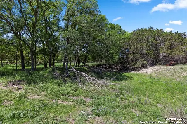 729 Rabbit Road, Wimberley, TX 78676 - #2