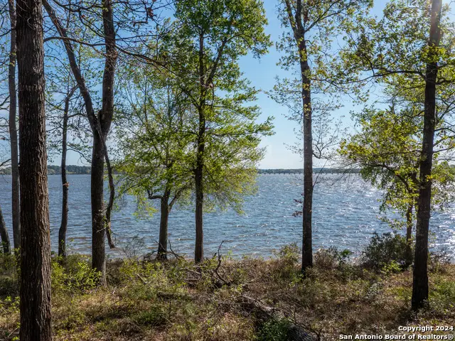 3108 Shadow Pine Drive, Larue, TX 75770 - #1