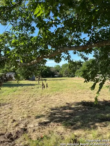 557 Collins St., Seguin, TX 78155 - #1