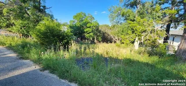 1697 Winding Creek, Spring Branch, TX 78070 - Image #2