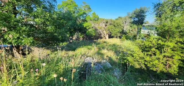 1697 Winding Creek, Spring Branch, TX 78070 - Image #3