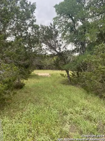 1084 Deer Valley, Spring Branch, TX 78070 - #2