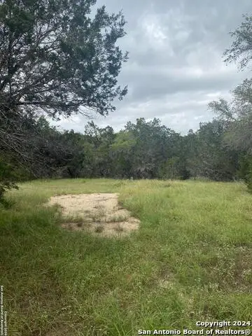 1084 Deer Valley, Spring Branch, TX 78070 - #3