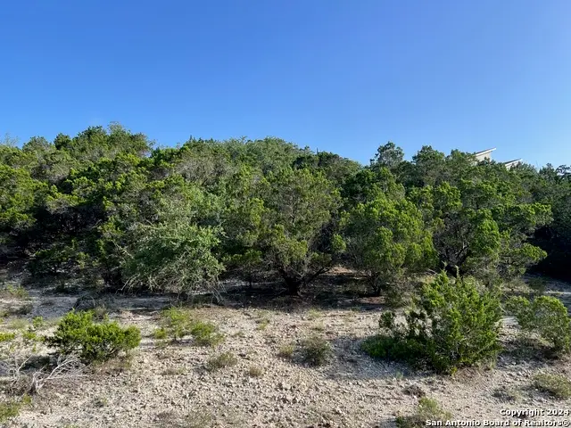 280 Scenic Hills Dr, Canyon Lake, TX 78133 - #2