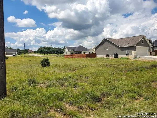 118 Warren Wallace, Blanco, TX 78606
