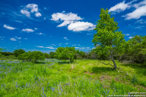 0 Jung Road, Harper, TX 78631