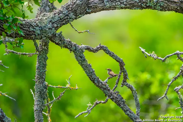 0 Jung Road, Harper, TX 78631 - #3