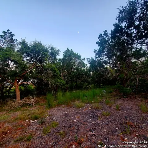 284 Kellog, Fischer, TX 78623 - Image #2