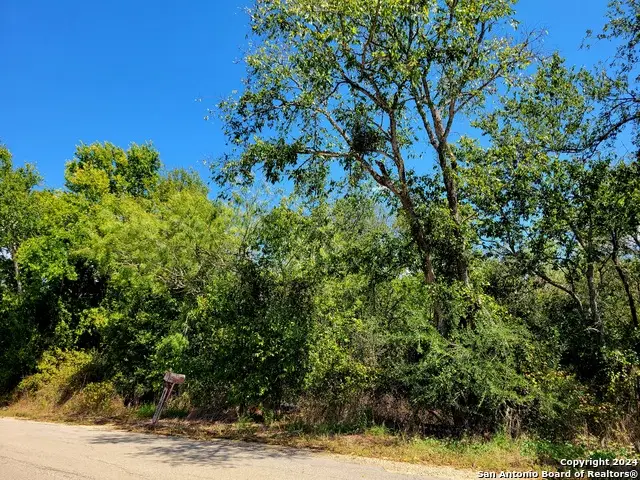 TBD Dale Ln, Dale, TX 78616 - #1