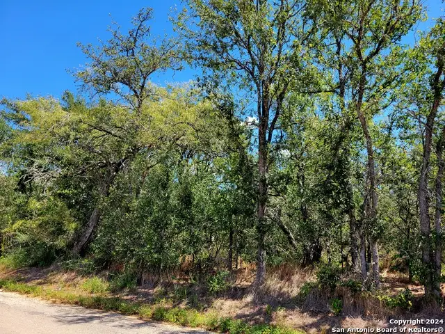 TBD Dale Ln, Dale, TX 78616 - #2