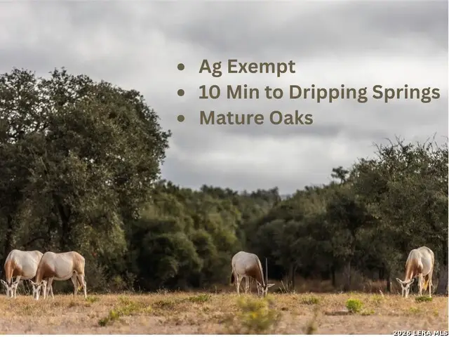 LOT 1 Legacy Hills, Johnson City, TX 78636 - #1