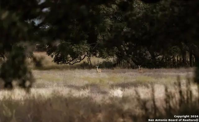 LOT 1 Legacy Hills, Johnson City, TX 78636 - #3