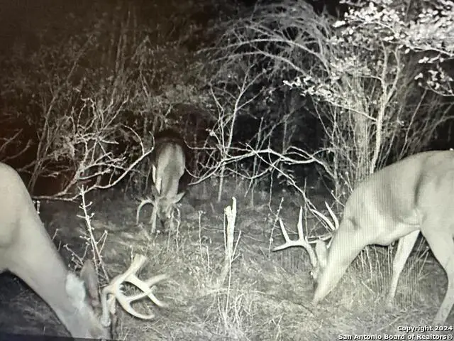 13004 Fm 3353, Kingsbury, TX 78638 - Image #2