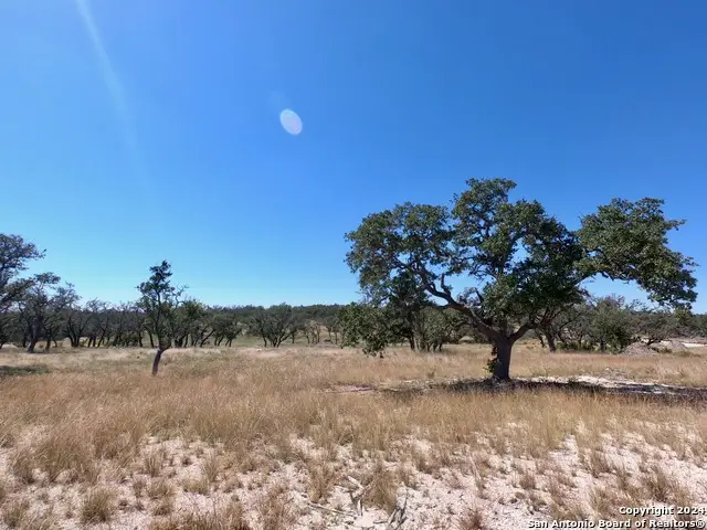 LOT 33 Brooklyn Drive, Harper, TX 78631 - #1