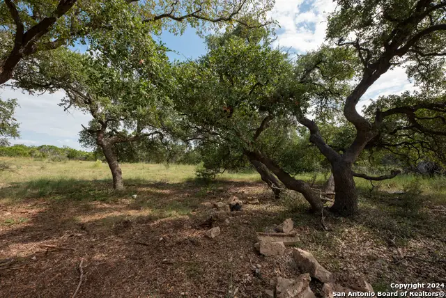 865 Rutherford, Fischer, TX 78623 - Image #2