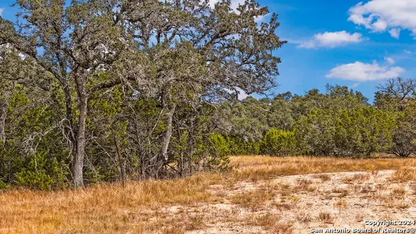1949 Paradise Pkwy, Canyon Lake, TX 78133