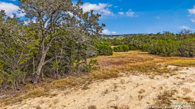 1949 Paradise Pkwy, Canyon Lake, TX 78133 - #2