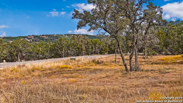 1949 Paradise Pkwy, Canyon Lake, TX 78133 - #3