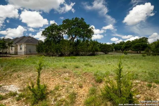 126 Frank Jones, Blanco, TX 78606 - #3