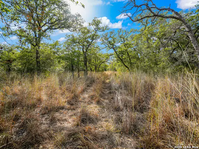 912 Swallows Ln, Seguin, TX 78155 - #2