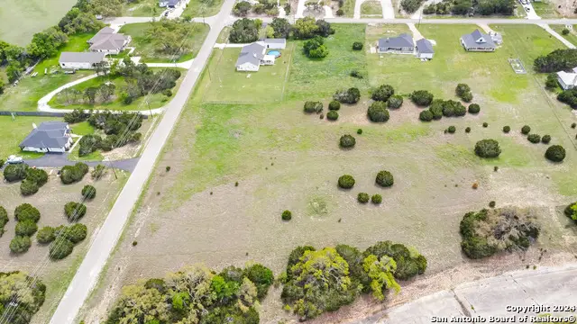 313 Lets Roll Dr, Fischer, TX 78623 - Image #3