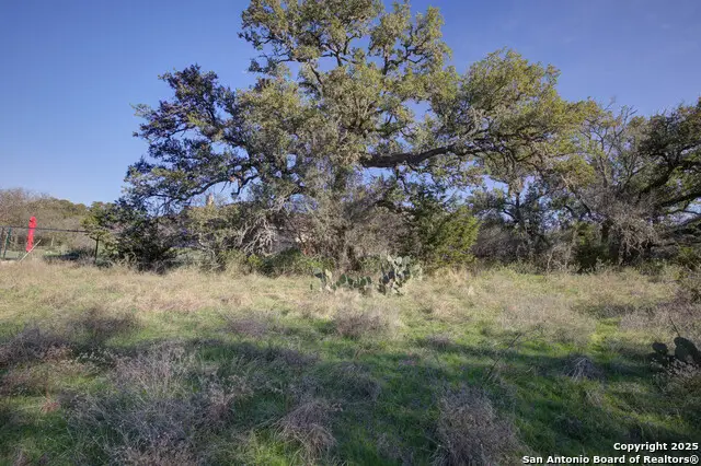 132 Maple Terrace, New Braunfels, TX 78132 - Image #2