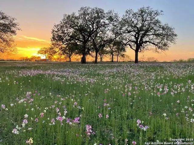 460 Woelke Rd, Seguin, TX 78155 - Image #1